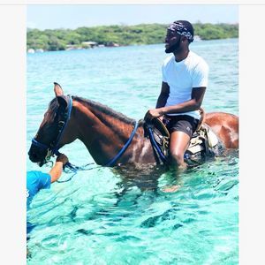 Meet your Posher, Drew